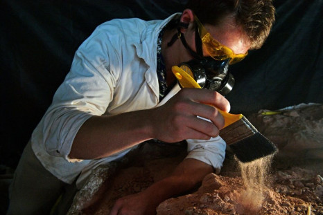 Paleontologist Rodrigo Temp Muller examines a dinosaur fossil at a research center in Sao Joao do Polesine, Brazil -- the town is a treasure trove of fossils, and the site of the discovery of the first Gnathovorax skeleton
