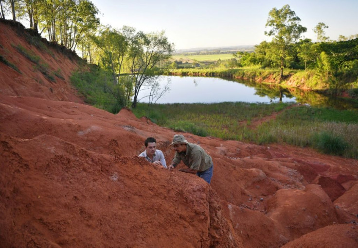 Paleontologists Rodrigo Temp Muller (L) and Jose Darival Ferreira examine a newly found fossil at a dig site in Agudo, Brazil