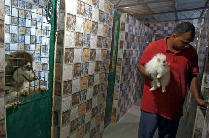 Room and board costs three Jordanian dinars ($4) a day at The Pet Zone in Amman, with anxious owners able to keep an eye on their pets via online cameras