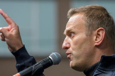 Navalny, 43, helped organise major protests against the government this summer