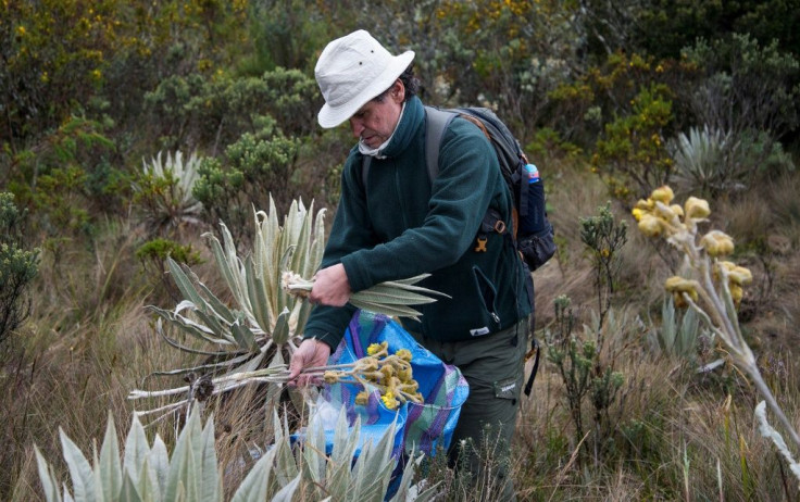 Colombia is second only to Brazil in terms of biodiversity, not just in South America, but the world