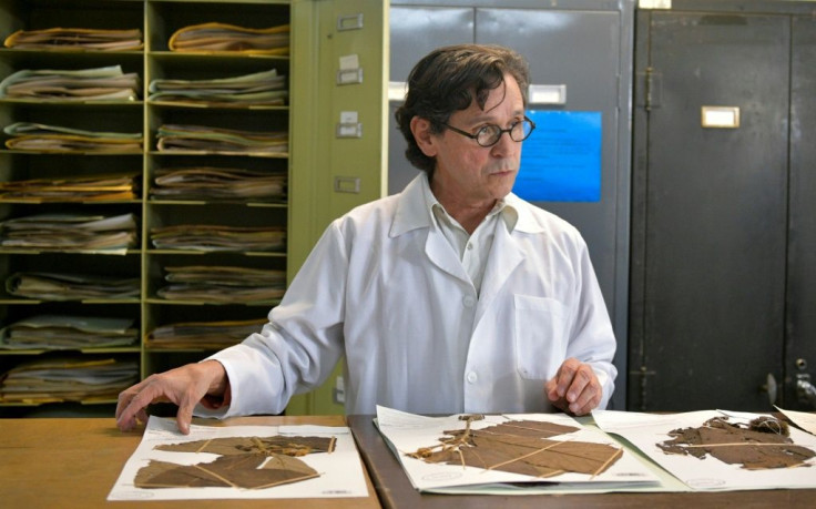 Colombian botanist Julio Betancur has taken many risks in his bid to document Colombia's impressive biodiversity