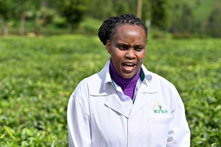 Grace Mogambi, the Kenya Tea Development Agency's manager of specialty products, says "consumer taste preferences are changing"
