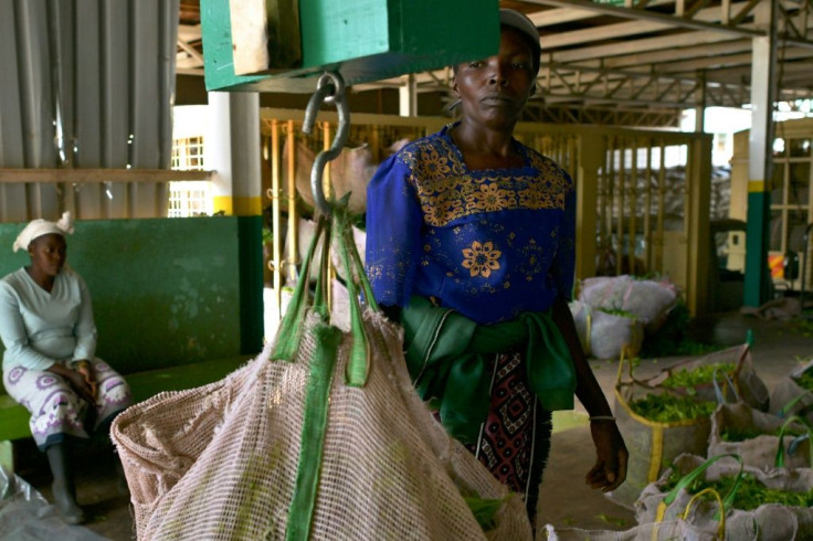 Craft tea varieties also appeal to younger tea drinkers, a growing market