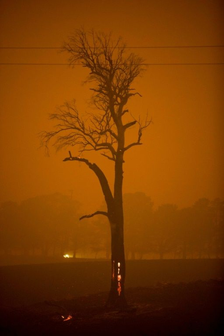 Tinder-dry conditions and strong winds have fanned a devastating fire season