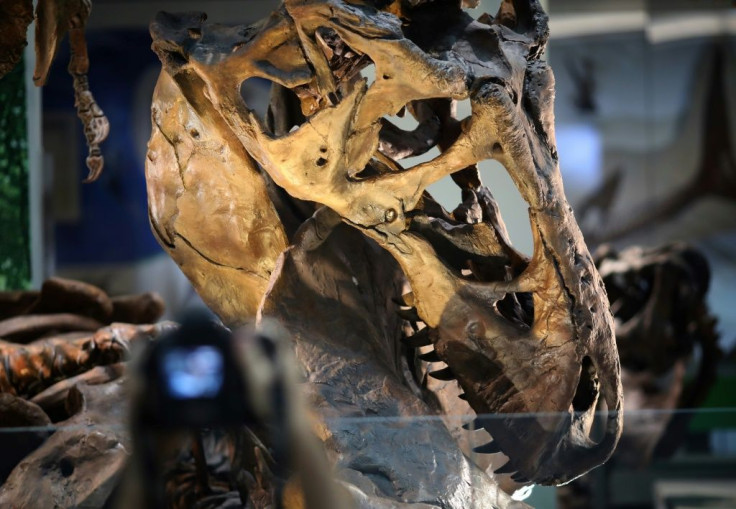 A team of researchers have discovered new information about the Tyrannosaurus Rex aging process after determining that a pair of skeletons were adolescent T-rex, not a different species altogether