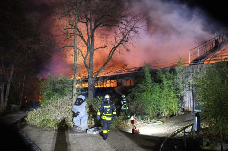 The Krefeld zoo would remain closed New Years Day because employees were "in shock", its management said