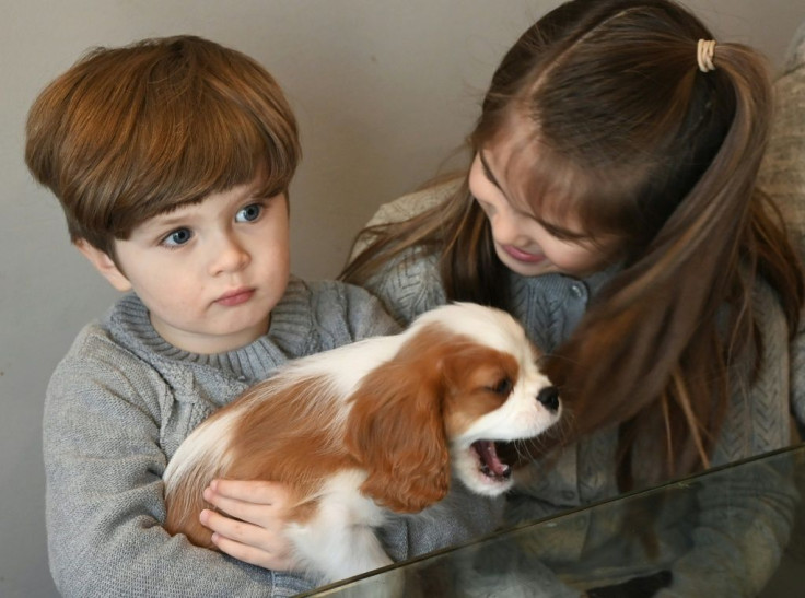 Johan Chamorro and his soster Joanna at their home in McLean, Virginia, on December 26, 2019; 18 months after bone-marrow therapy he shows no signs of his genetic illness