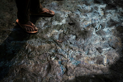 Pollution: Low tide exposes oily mud on a river bed in K-Dere, a village in the Niger Delta region