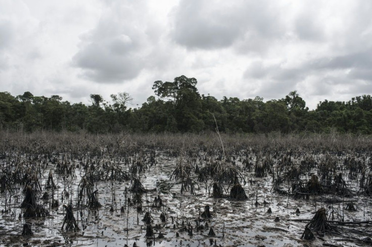 Pollution from illegal oil refineries in the Niger delta have worsened the the environmental damage