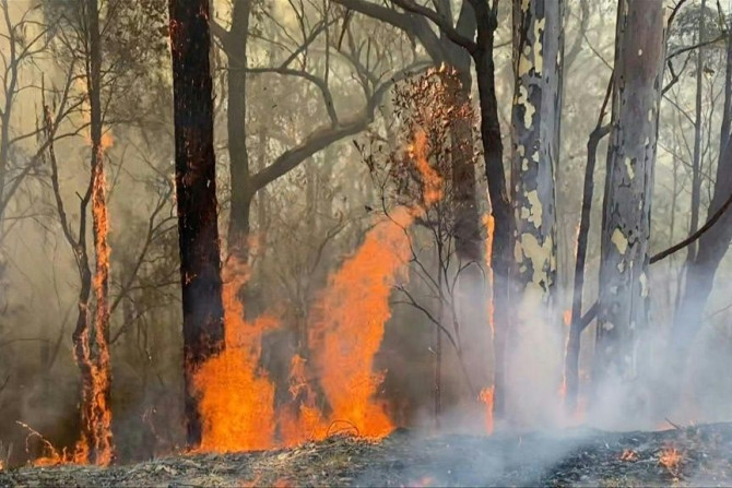 Australian firefighters tackle a bushfire near Batemans Bay