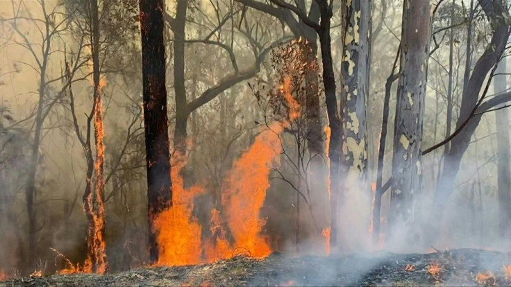 Australian firefighters tackle a bushfire near Batemans Bay