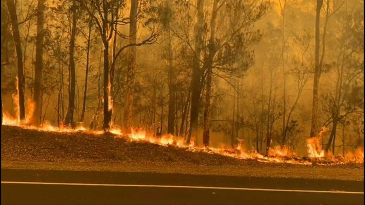 IMAGESFirefighters battle flames in Moruya in New South Wales, Australia. Tens of thousands of Australians have fled their homes as more catastrophic bushfire conditions are expected on Saturday.