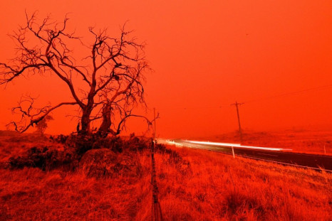 Australia's bushfire crisis has killed 23 people and burned swathes of the country