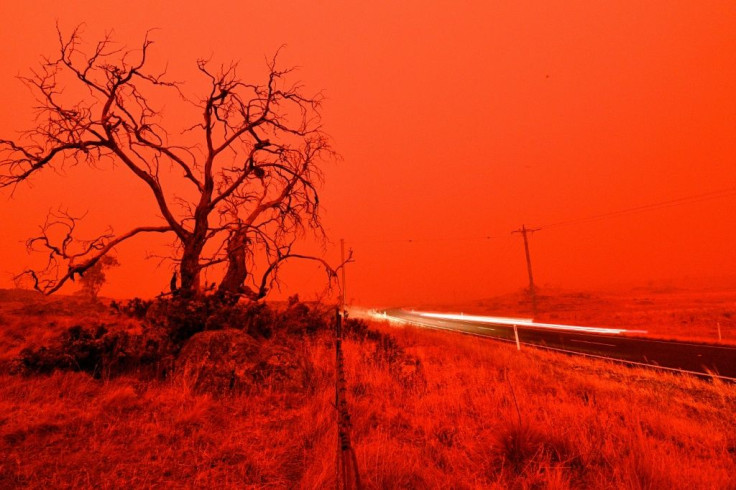 Australia's bushfire crisis has killed 23 people and burned swathes of the country