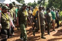 Ugandan President Yoweri Museveni and veterans and Members of Parliament, march through the jungle as he retraces the route which his guerrilla forces took 35 years ago
