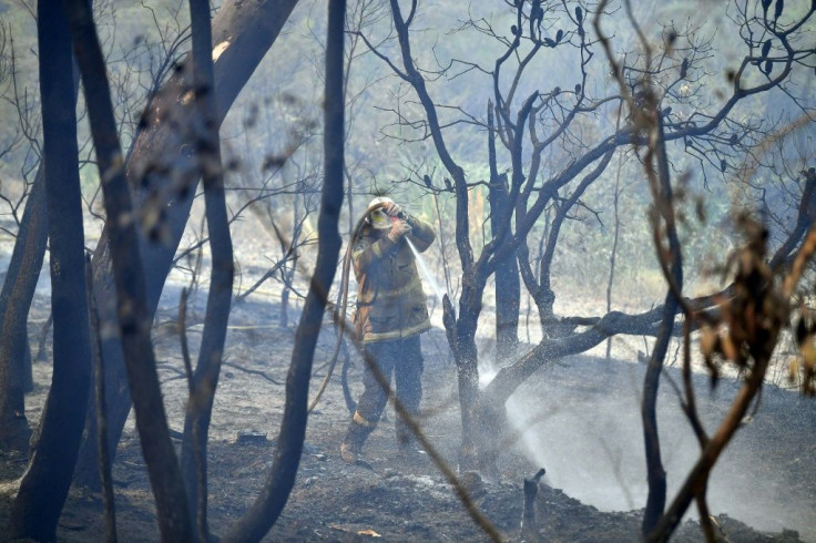 Tens of thousands of volunteer firefighters have been hailed in Australia and across the world for their unrelentling battle against the blazes
