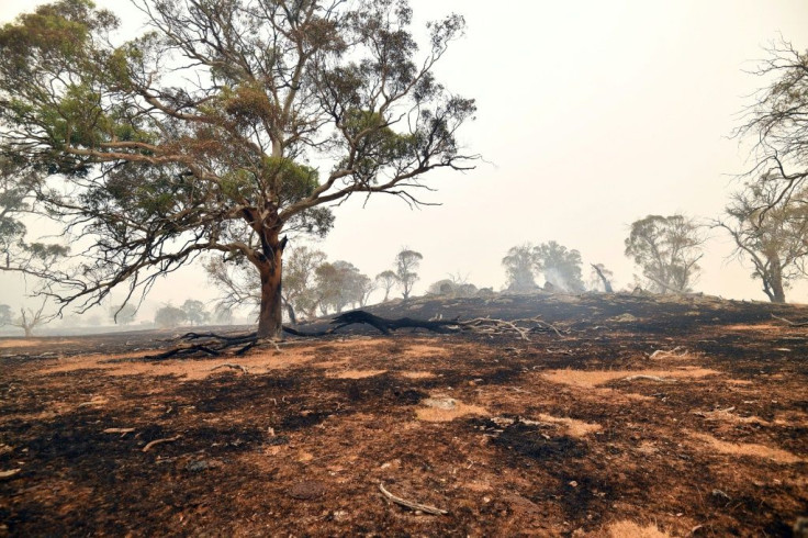 There has been growing anger in Australia about Prime Minister Scott Morrison conservative government's slow response to the deadly climate-fuelled bushfire crisis