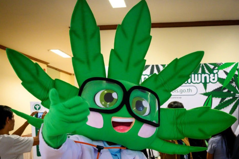 A cannabis plant mascot entertains patients at the opening of a medical marijuana clinic in Bangkok
