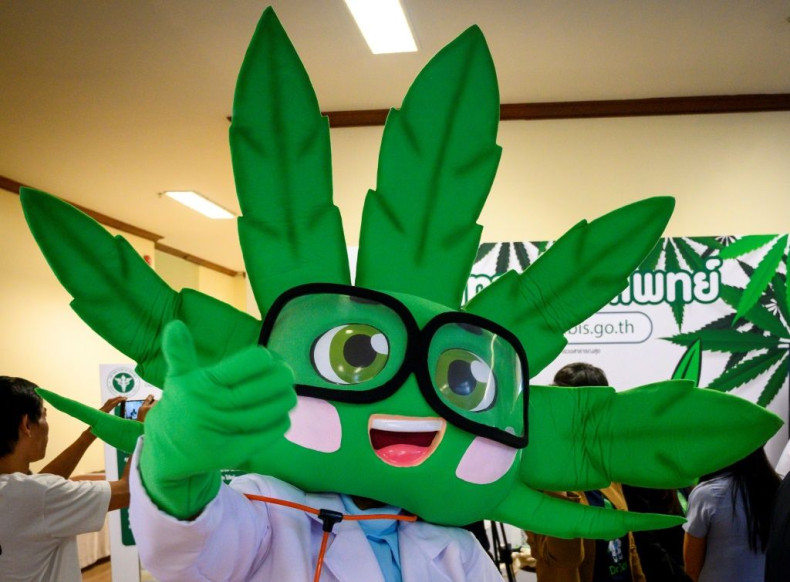 A cannabis plant mascot entertains patients at the opening of a medical marijuana clinic in Bangkok