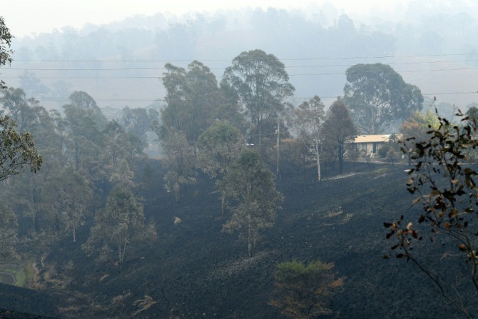 Swathes of land have been left charred by bushfires in Australia's New South Wales