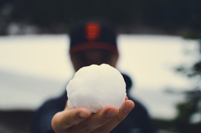 snowball-925600_640