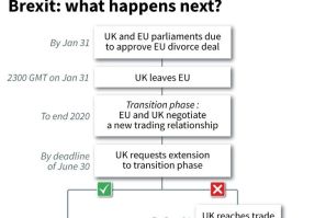 Flow chart showing what might happen next in the Brexit process.