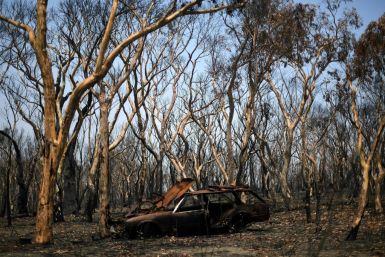 There was some good news Monday as firefighters said they had control over a megablaze near Sydney, but many fires are still burning, and the devastation is widespread