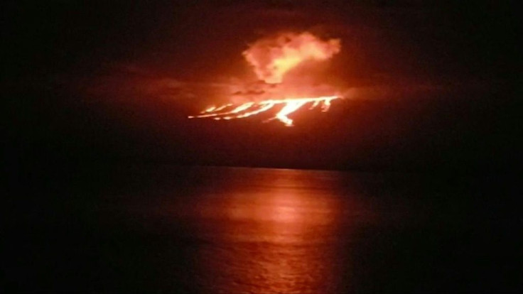 Lava and smoke belches out of a volcano on Fernandina island in the Galapagos