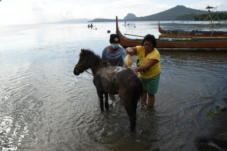 Taal's community had to flee without their prized ponies and most of their possessions when the volcano errupted