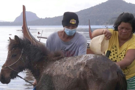 Villagers living near Taal volcano in the Philippines rescue horses and other animals, transporting them via boats as fears of a massive eruption looms.