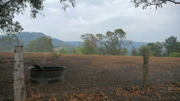 Rain falls in Tapitallee, on the southeast coast of New South Wales, bringing some relief to this fire-ravaged part of Australia