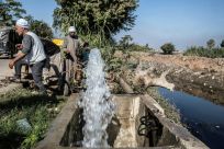 Egyptian farmers supply their farmland with water from a canal, fed by the Nile river, in a village outside of the capital Cairo