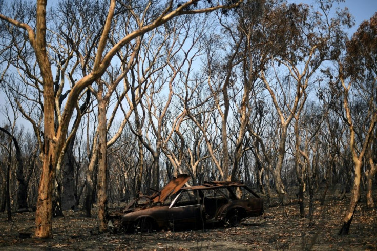 TheÂ wildfires have killed at least 28 people and burned an area larger than Portugal