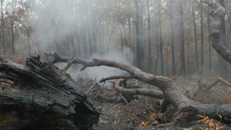 Rain falls across parts of bushfire-ravaged eastern Australia and more wet weather was forecast, giving some relief following months of catastrophic blazes fuelled by climate change.