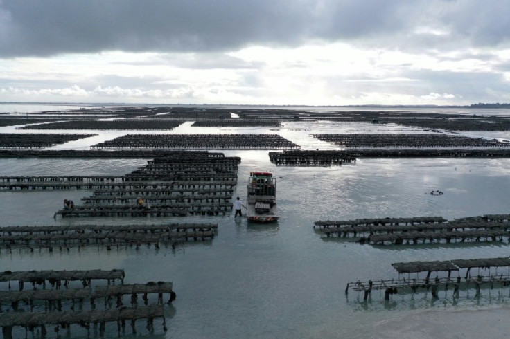 Authorities halted oyster sales at 23 French fields after testing revealed norovirus contamination.