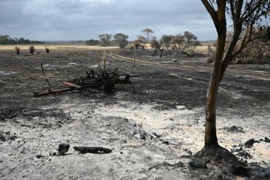 Australia is reeling from bushfires that since September have claimed 28 lives, including two on Kangaroo Island