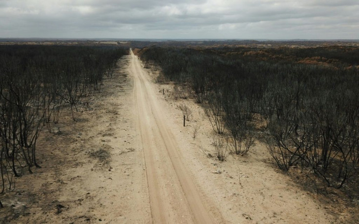 The bushfires have left large areas of Australia burnt through