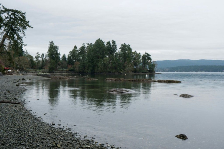 Tall trees shield the view of Meghan and Harry's temporary estate in Vancouver Island, British Columbia, Canada