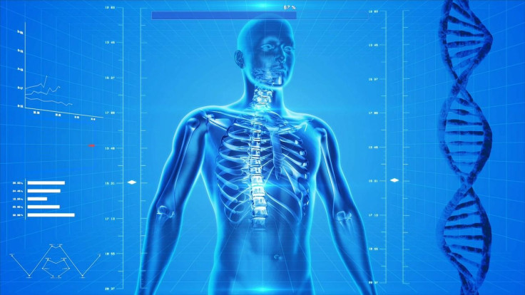 vitamin D condiiton muscles