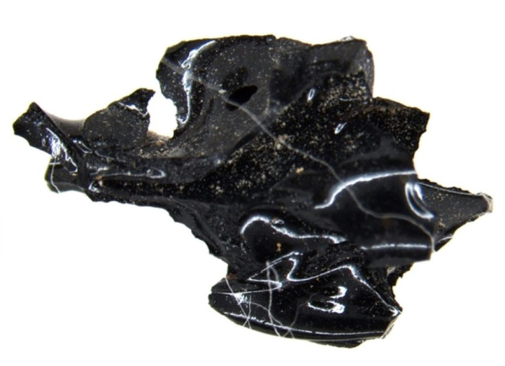 Scholars were intrigued by a curious glassy material found inside one victim's skull