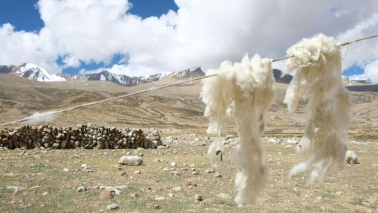 For centuries the Changpa have tended the shaggy goats that provide one of the world's finest fabrics: pashmina wool. But now many are rethinking their way of life, in part because of climate change.
