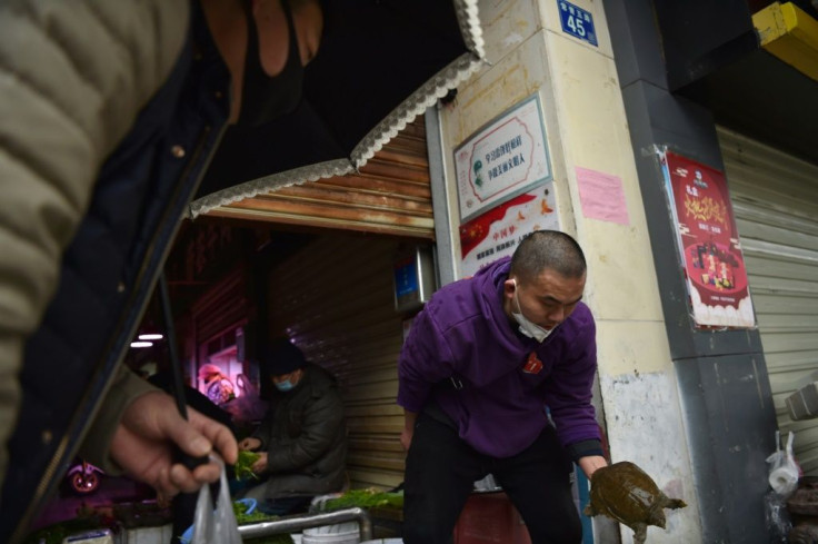 A turtle for sale at a market in Wuhan, the epicentre of a deadly new virus that came from an animal