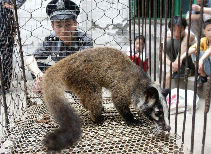 A policeman watching over a civet captured by a farmer in Wuhan, in central China's Hubei province