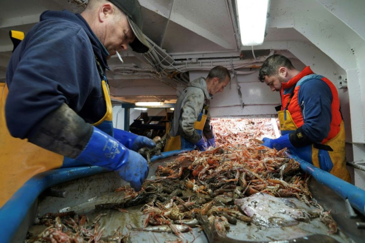 Although Brexit is just days away Britain will remain bound by the bloc's Common Fisheries Policy until the end of a transition period on December 31