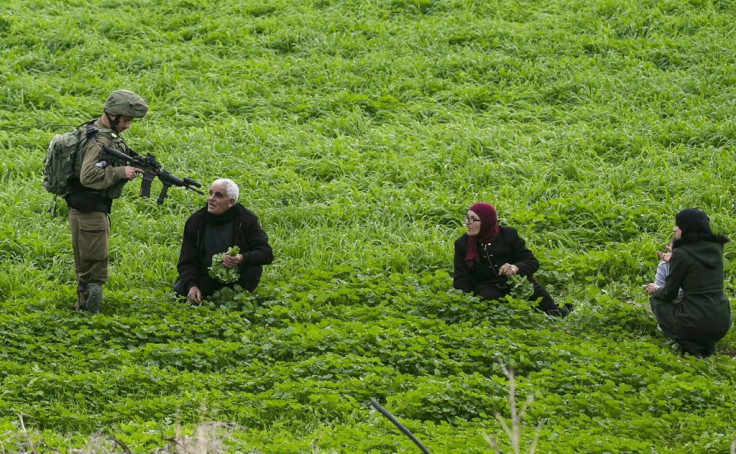 An Israeli soldier checks the papers of Palestinian farmers in a field near a checkpoint in the Jordan Valley in the occupied West Bank