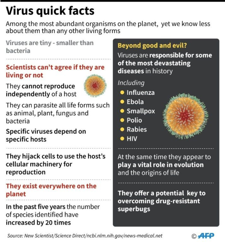 Factfile on viruses, among the most abundant organisms on the planet