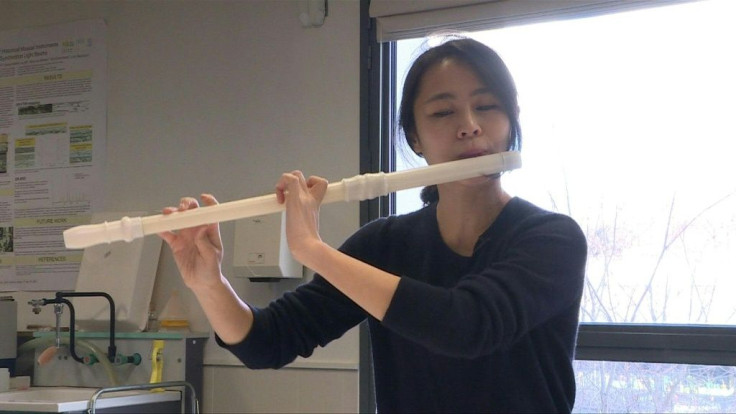 The Hotteterre flute was created around 1710, and now researchers at Paris's CitÃ© de la Musique laboratory have created an accurate reproduction of the instrument, a chance for musicians to faithfully recreate the sounds and moods of the epoch.