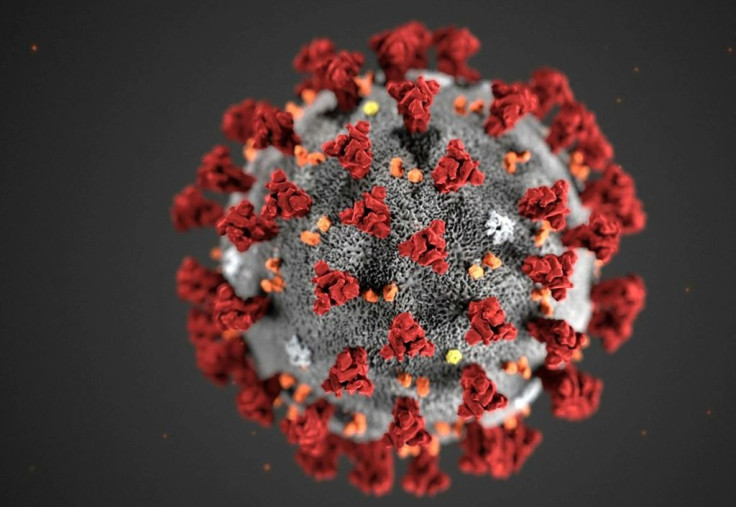 Monoclonal antibodies bind to certain proteins on a virus, neutralizing its ability to infect human cells