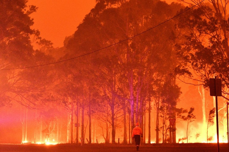 Temperatures were likewise higher than normal in New South Wales in Australia, where massive bushfires devastated large areas of the state